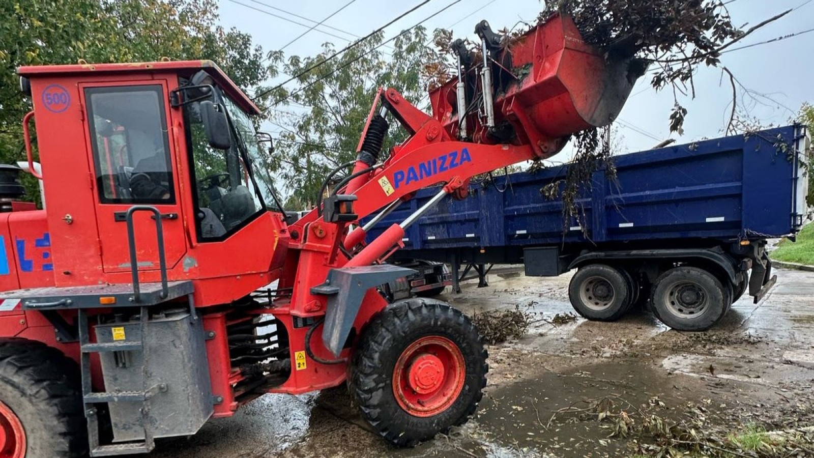 Cronograma del sistema municipal de recolección de ramas para esta semana