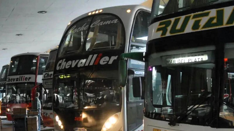 Micros de larga distancia: el equipaje deberá estar identificado y registrado a nombre del pasajero